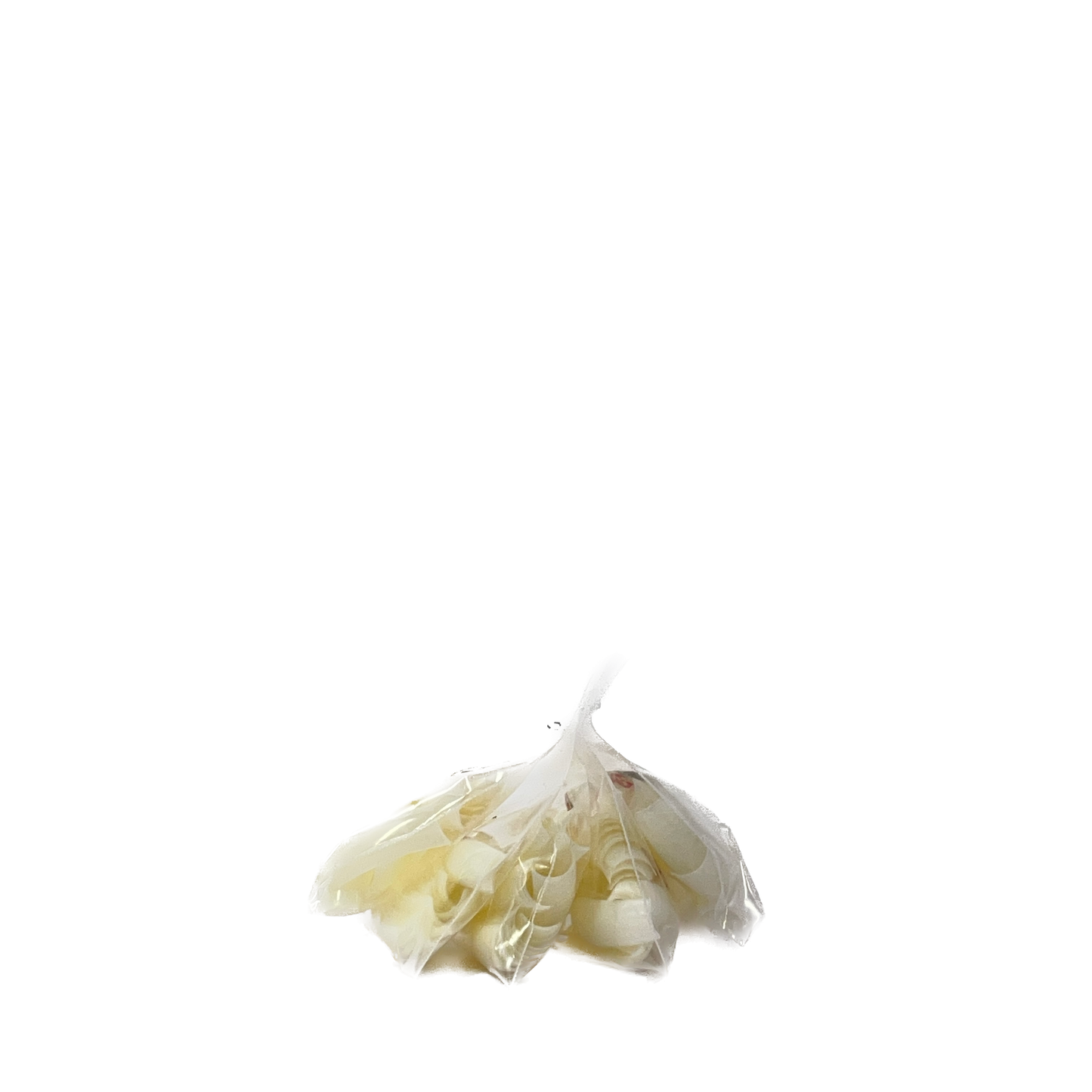 Lamour Natural Clear Tips - Sizes 0-10 (50 Pcs)