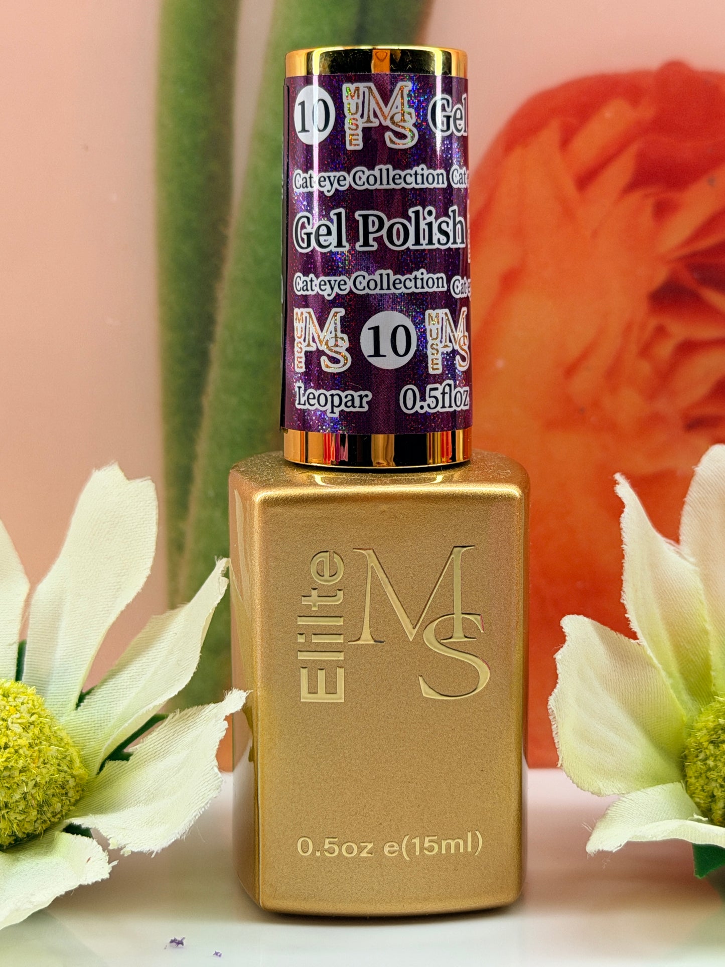 Muse Cat Eye Gel {1-54}