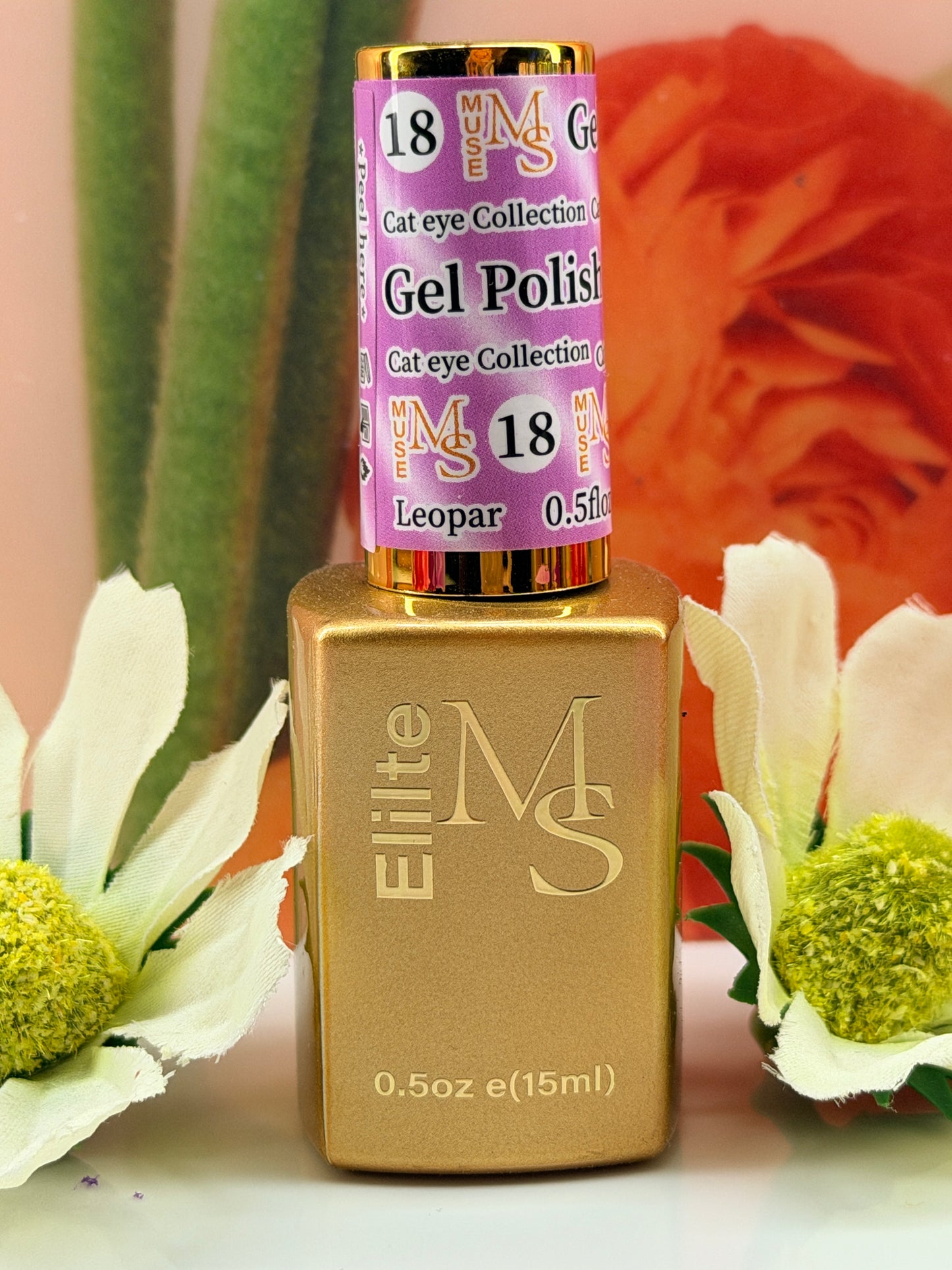 Muse Cat Eye Gel {1-54}